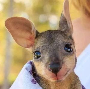 Meet your Posher, Colleen